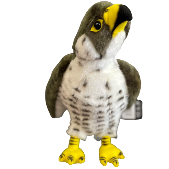 Falcon bird outlet toy