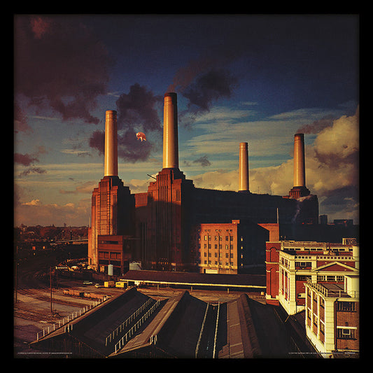 Pink Floyd (Animals) Printed Canvas